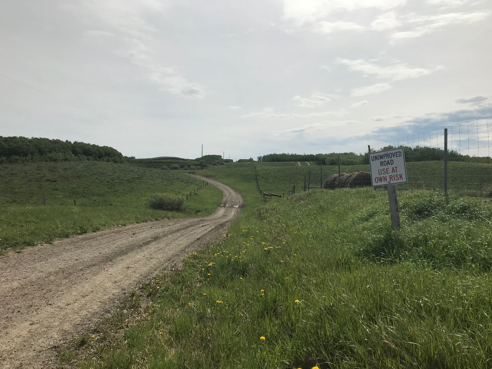 Gravel Cycling On Edges Of Waterton, Alberta – The Gravel Experience